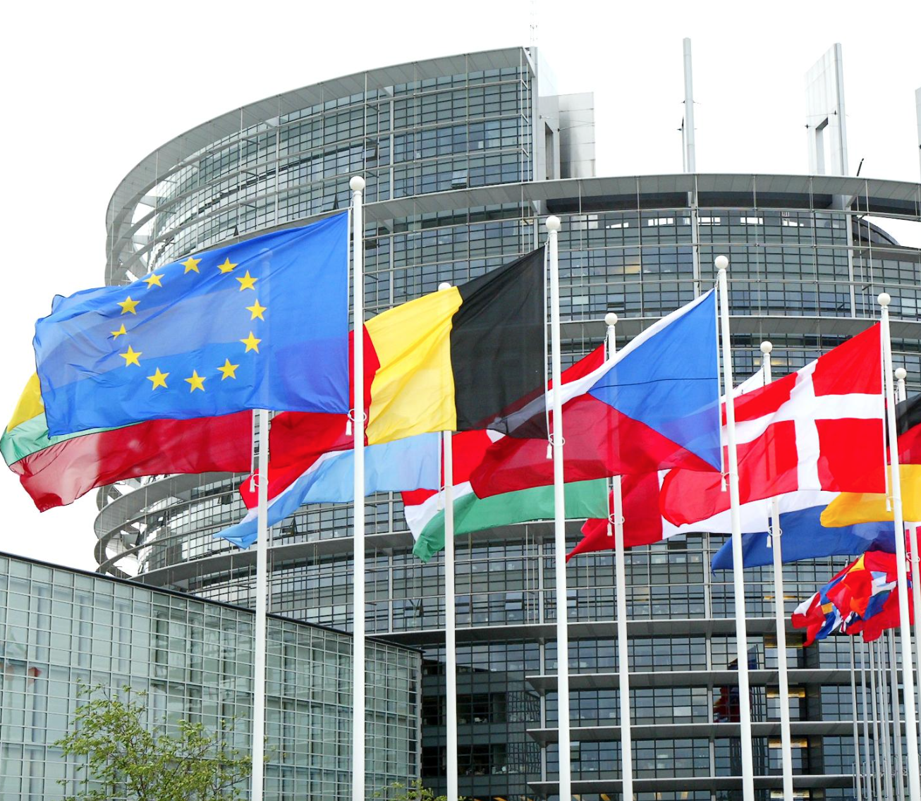 FLASH - Vergogna Europa. Il Parlamento approva risoluzione pro aborto e contro sovranità e obiezione 1